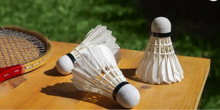 Bí Kíp Soi Kèo Cá Cược Cầu Lông SV368 Từ Các Cao Thủ Chuyên Nghiệp