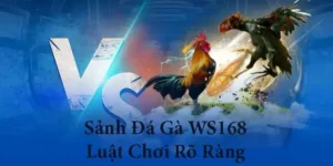 Bí Kíp Chơi Đá Gà WS168 Tại SV368 Từ Cao Thủ Lão Làng