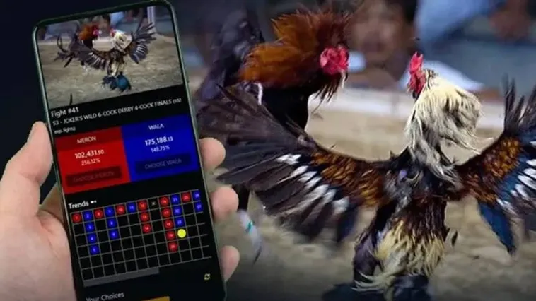 Khám Phá Thế Giới Đá Gà SV368 Đỉnh Cao Cùng Kê Thủ Chuyên Nghiệp